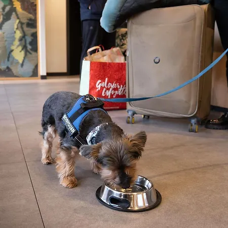 Ibis Styles Hotel 3*