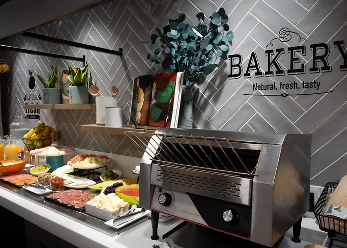 Ibis Styles 3* סנטנדר