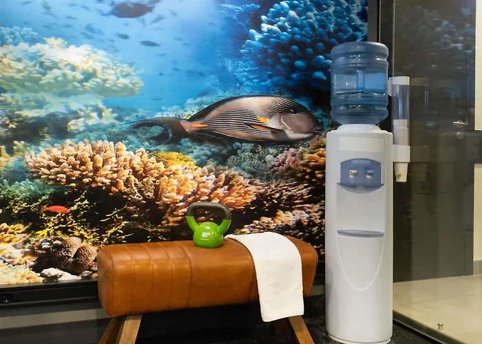 Ibis Styles מלון סנטנדר