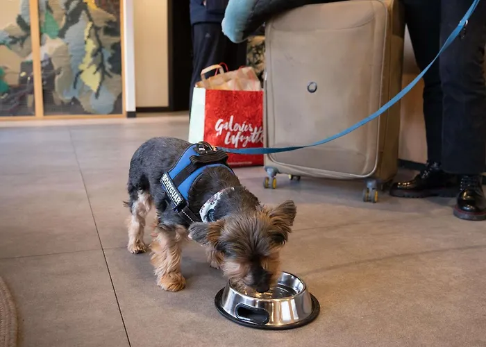 Ibis Styles Hotell 3*