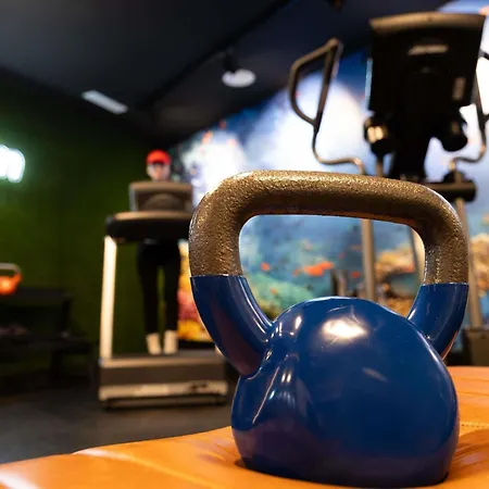 Hotel Ibis Styles 3*