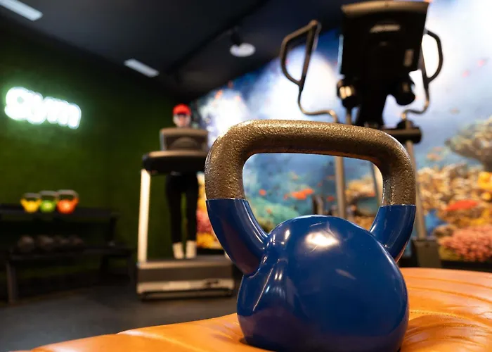 酒店 Ibis Styles 3*